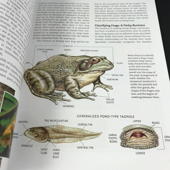 Frogs: A Chorus of Colors; Beautiful Photos & Illustrations; Excellent! 160 pgs - Picture 2 of 9